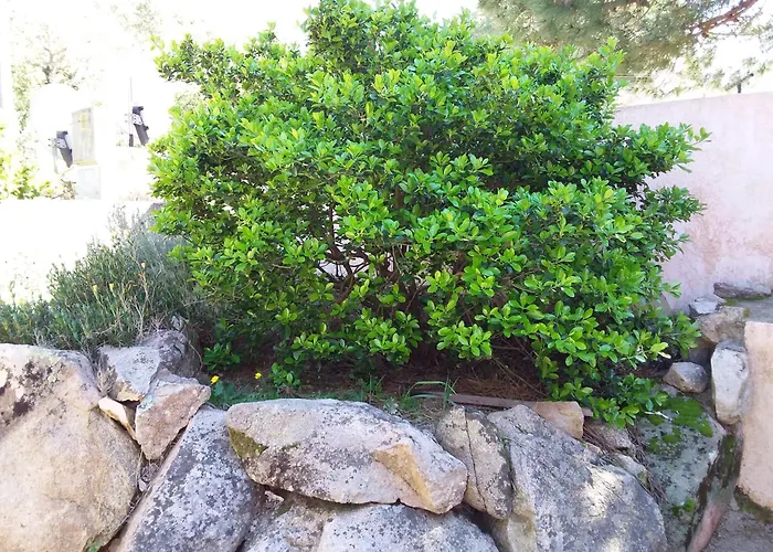 Jolie Location Apartamento Porto Vecchio